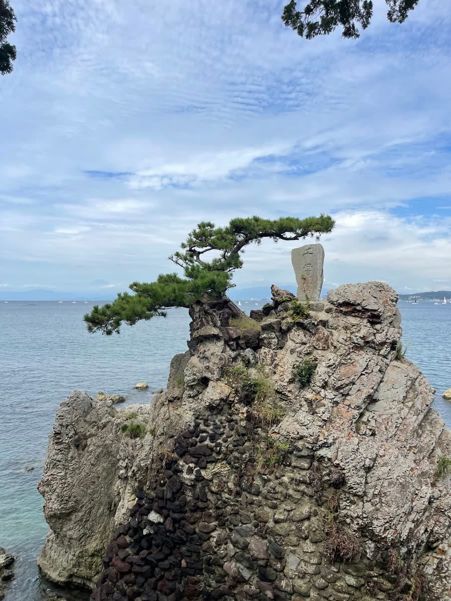 森戸大明神の千貫松