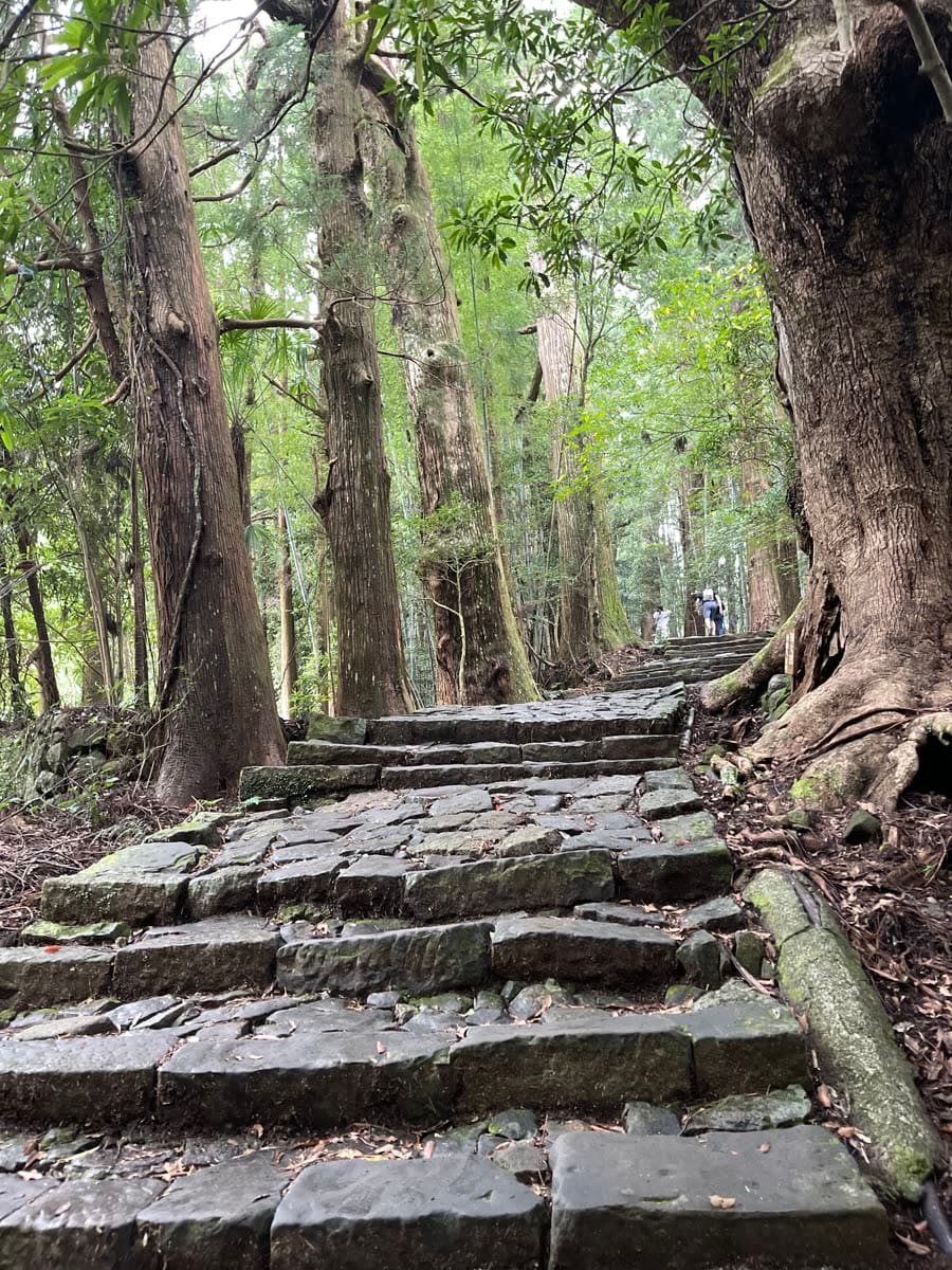 熊野古道 大門坂の石畳